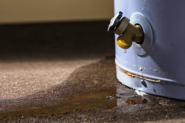 Best Water damage restoration process  in Patterson, CA