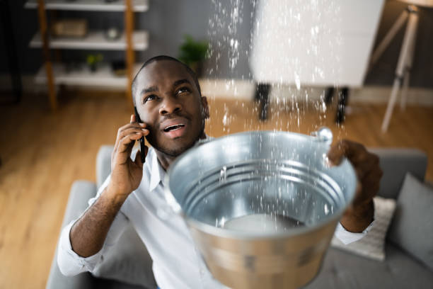 Best Water damage restoration mold remediation  in Patterson, CA