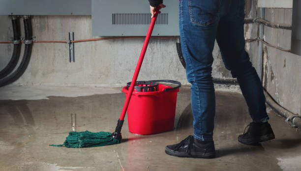 Best Flooded house restoration  in Patterson, CA