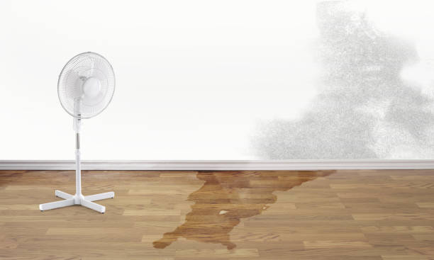 Best Water damage restoration near me  in Patterson, CA