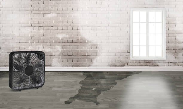 Best Water damage restoration near me  in Patterson, CA
