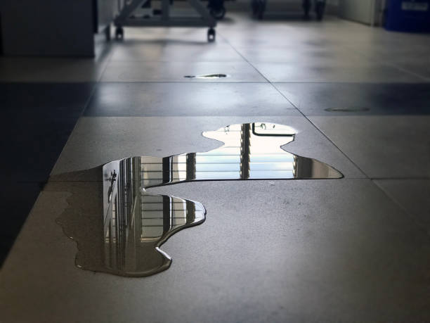 Best 24/7 water damage repair  in Patterson, CA