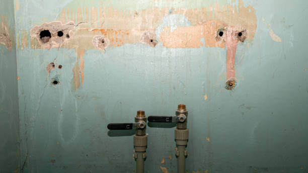 Best 24/7 water damage repair  in Patterson, CA