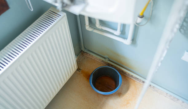 Best Flood damage cleanup  in Patterson, CA