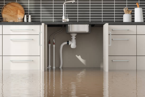 Best Local water damage restoration  in Patterson, CA