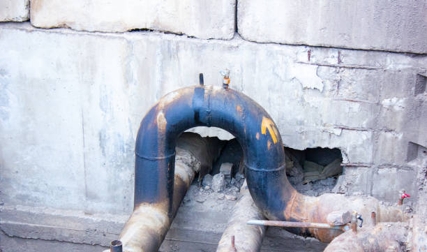 Best Professional water damage repair  in Patterson, CA