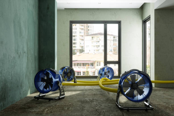 Water damage restoration mold remediation in CA